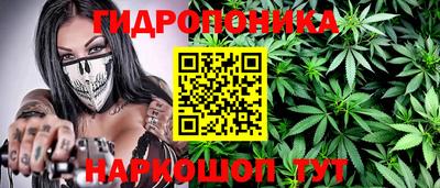 кокаин Новодвинск