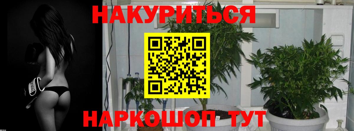 Шишки марихуана White Widow  Каннабис план  Чайковский  Конопля план  Вход с VPN 